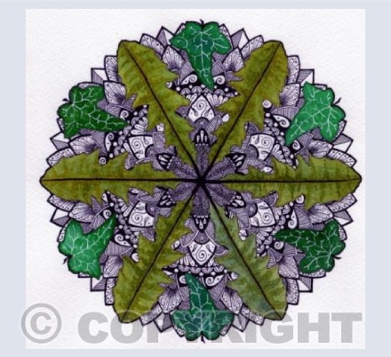 Dandelion and Ivy coloured