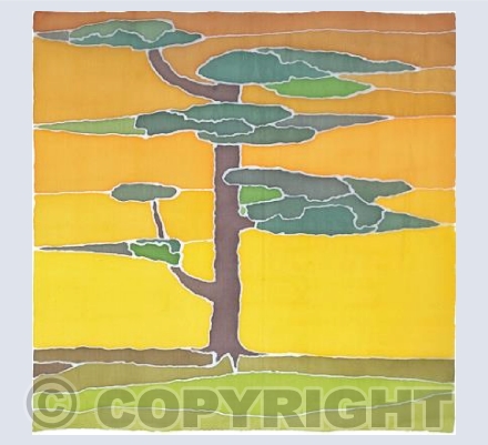 Sunset Tree
