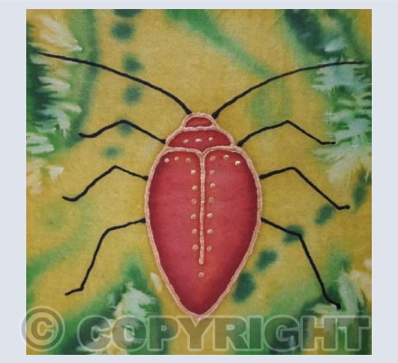 Beetle 3