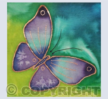 Butterfly 1