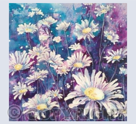 night daisy