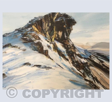 the cobbler