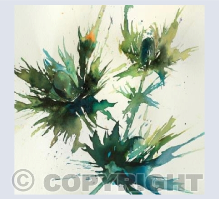thistles