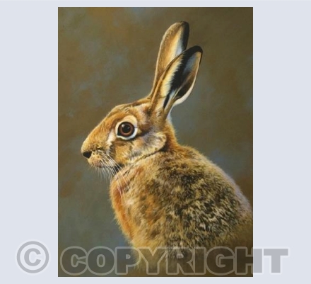 Hare