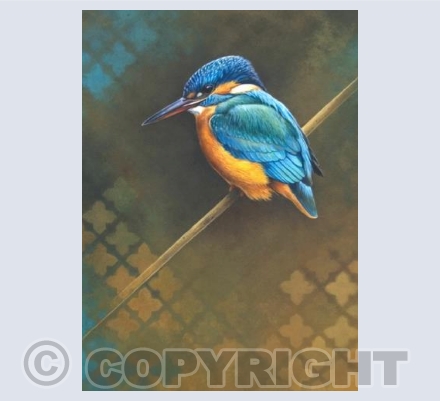 Kingfisher