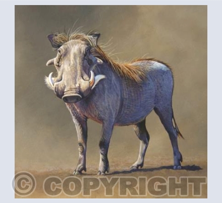 Warthog