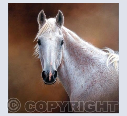 Silver Lady