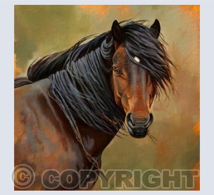 Wild New Forest Pony