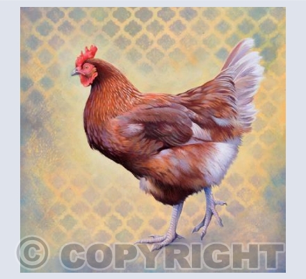 Little Red Hen
