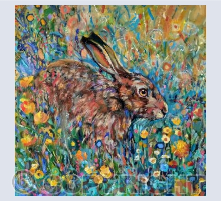 Buttercup Hare