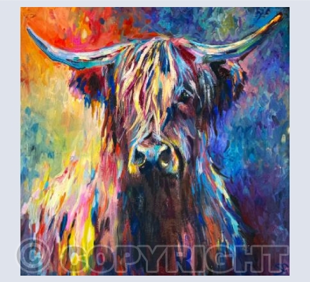 Highland Cow
