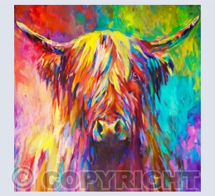 Rainbow Highland Cow