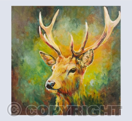 deer2