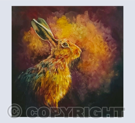 hare