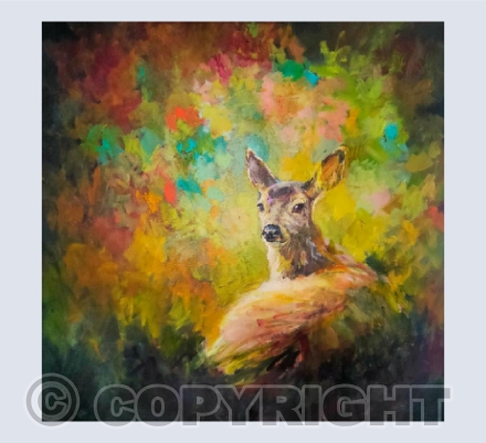 fawn