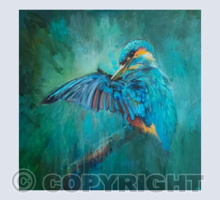 kingfisher2