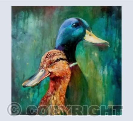 ducks2