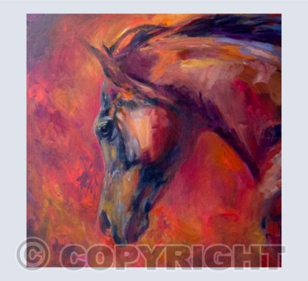 orange horse