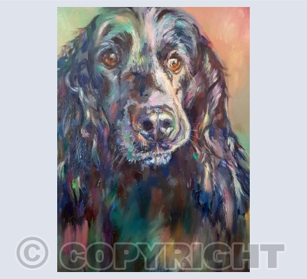 Cocker Spaniel