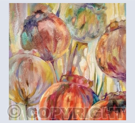 Poppy Seedheads