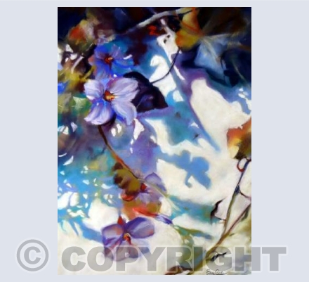 Sunlit Garden Wall
