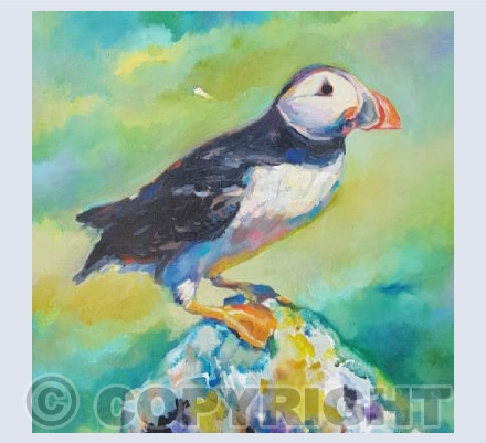 Puffin Beach