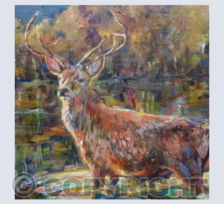 Red Stag