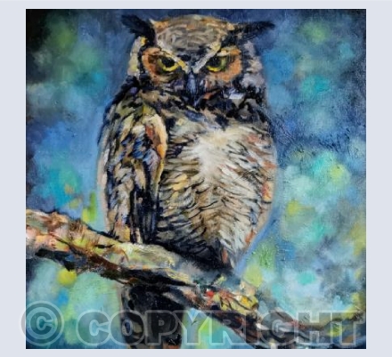 Great Horned Owl