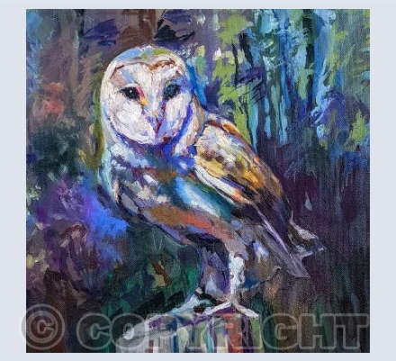 Night Owl