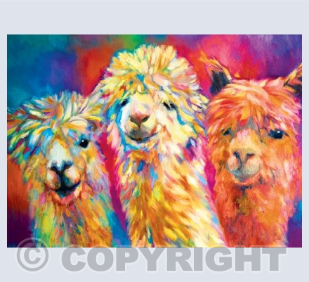 The Amigos