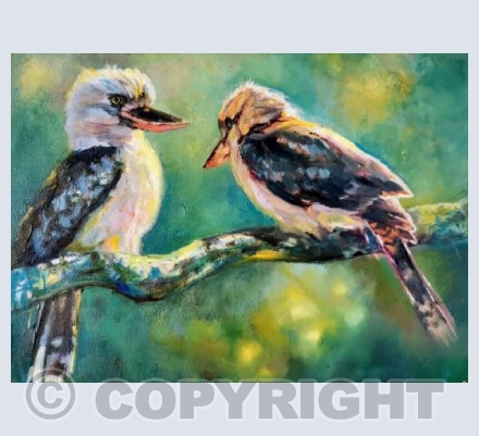 Kookaburras