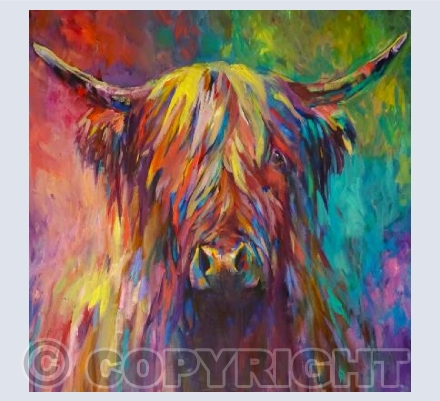 Beinn Eighe - Highland Bull