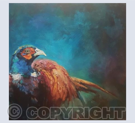 Pheasant 'Glowing'