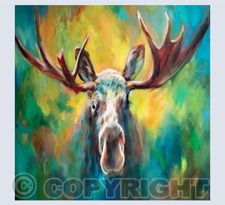 Majestic Moose