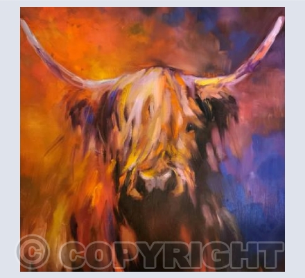 Highland Cow - Altnaharra