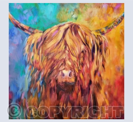 Rainbow Highland