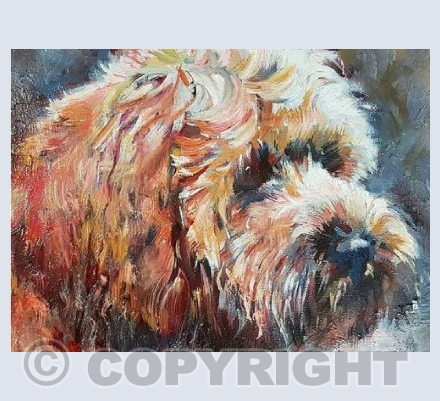 Cavapoo