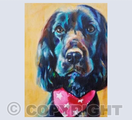 Cocker Spaniel