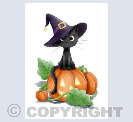 Halloween Cat Card