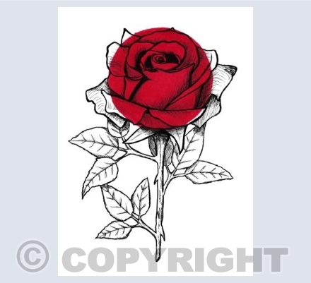 Rose Card