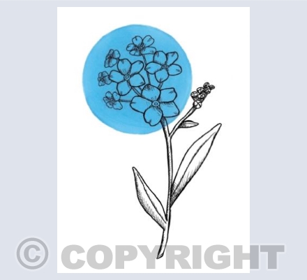 Forget-Me-Not Card