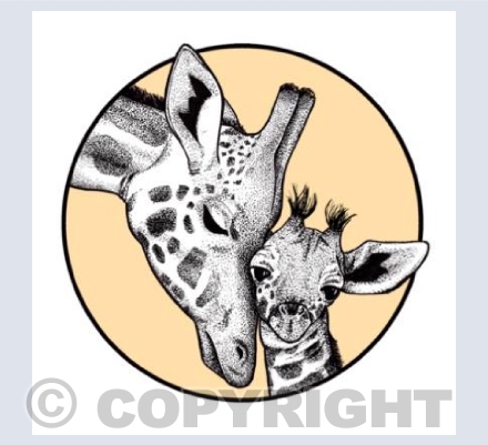 Giraffes