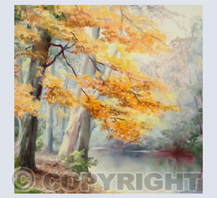 Autumn colours