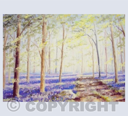 Bluebell Woods Marlborough