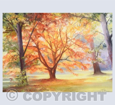 Westonbirt 