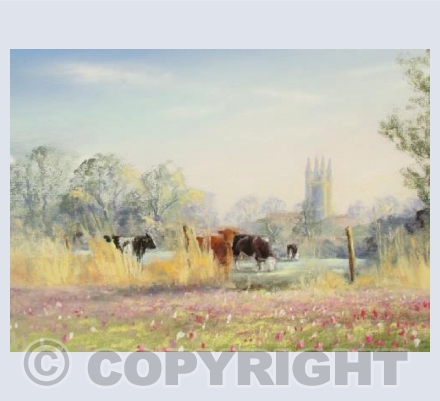 Fritillary Meadow