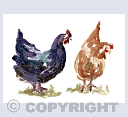 Hens
