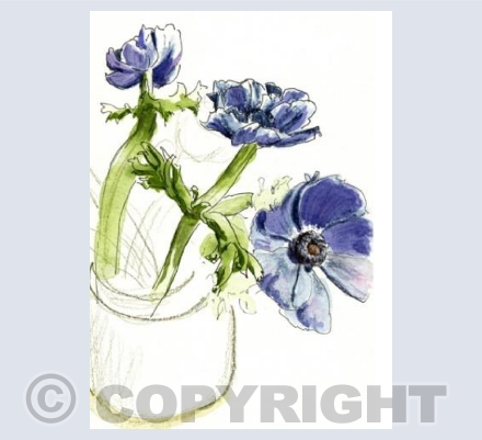 Anemones