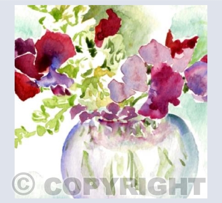 Sweetpeas