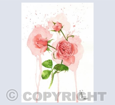 Roses